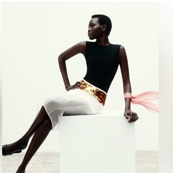 NWT ZARA GOLD SEQUIN ORGANZA
SKIRT size M
🚨FIRM PRICE NO DISCOUNT - Picture 7 of 15